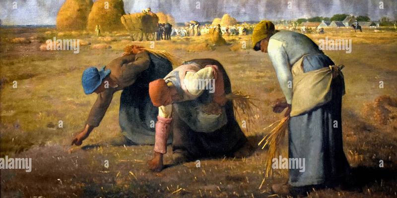 Glaneuse de millet